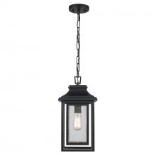  51694 BK - Bosque 1 - Light Outdoor Pendant